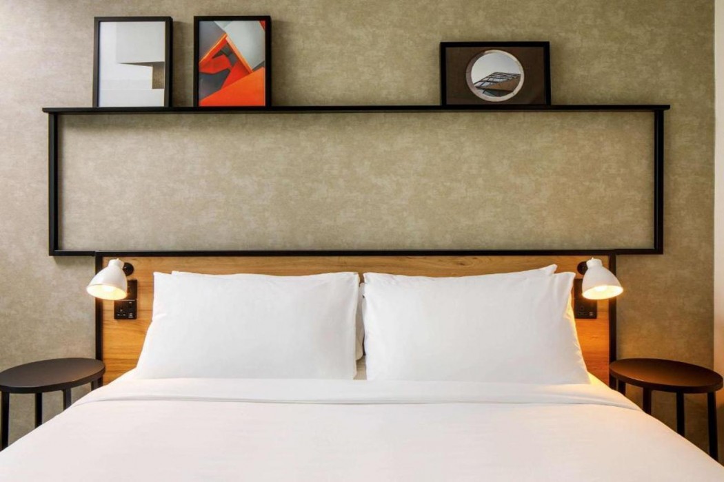 ibis nova serrana