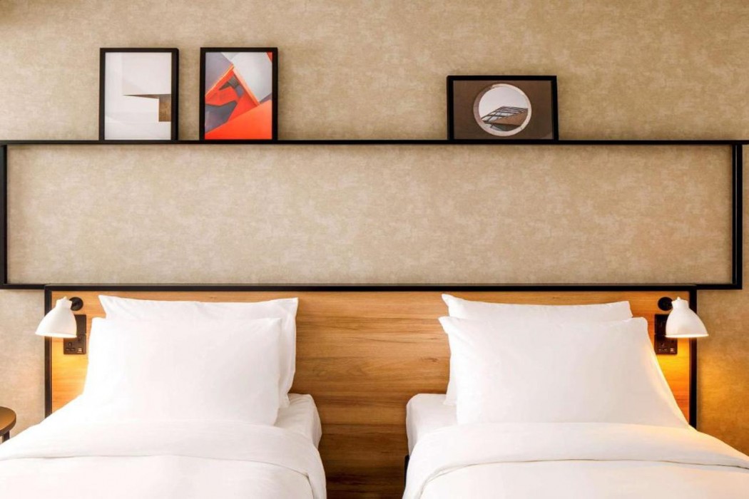 ibis nova serrana