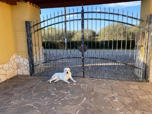Villa Pedrosa,,1 star
