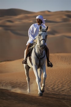 qasr al sarab desert resort by anantara