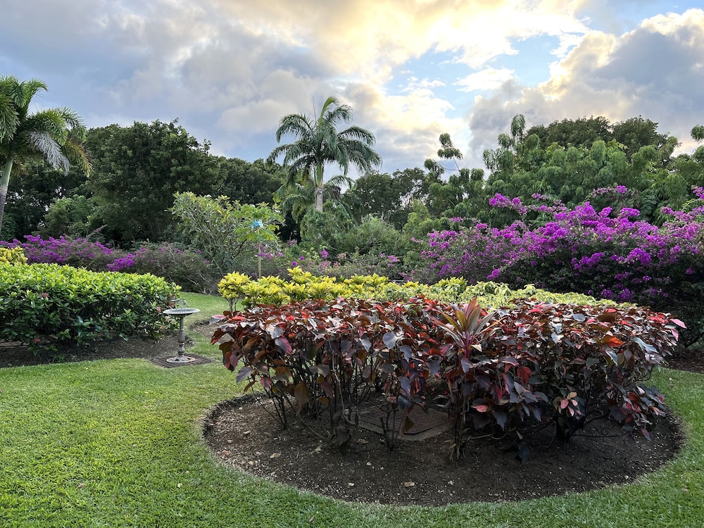 sago garden apartment at royal westmoreland