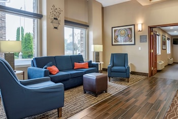 comfort inn and suites dimondale lansing