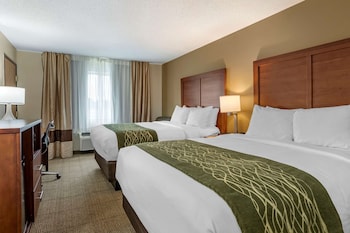 comfort inn and suites dimondale lansing