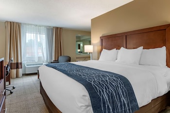 comfort inn and suites dimondale lansing