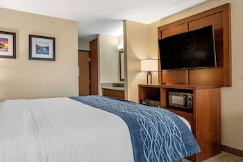 comfort inn and suites dimondale lansing