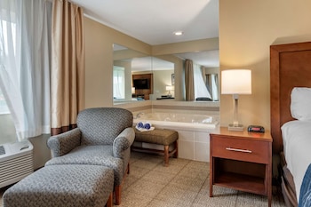 comfort inn and suites dimondale lansing