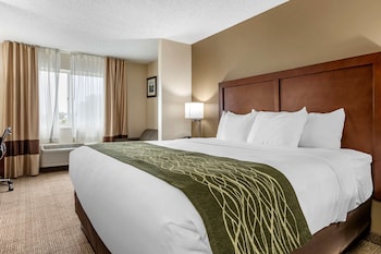 comfort inn and suites dimondale lansing