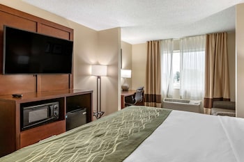 comfort inn and suites dimondale lansing