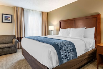 comfort inn and suites dimondale lansing