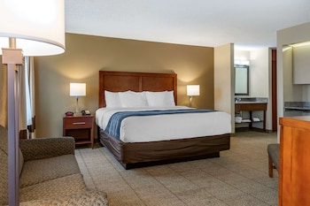 comfort inn and suites dimondale lansing