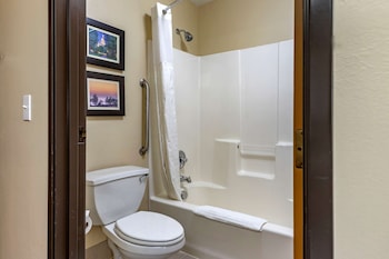 comfort inn and suites dimondale lansing