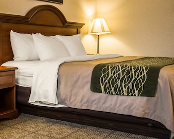 comfort inn and suites dimondale lansing