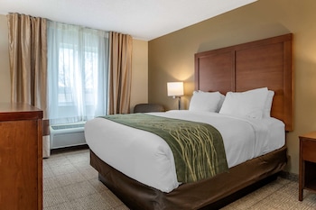 comfort inn and suites dimondale lansing