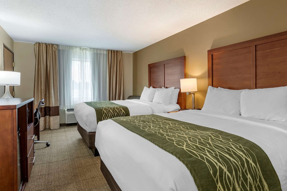 comfort inn and suites dimondale lansing