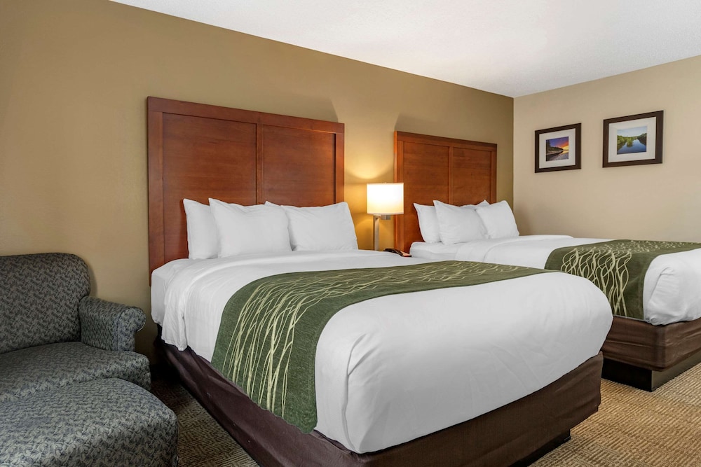 comfort inn and suites dimondale lansing