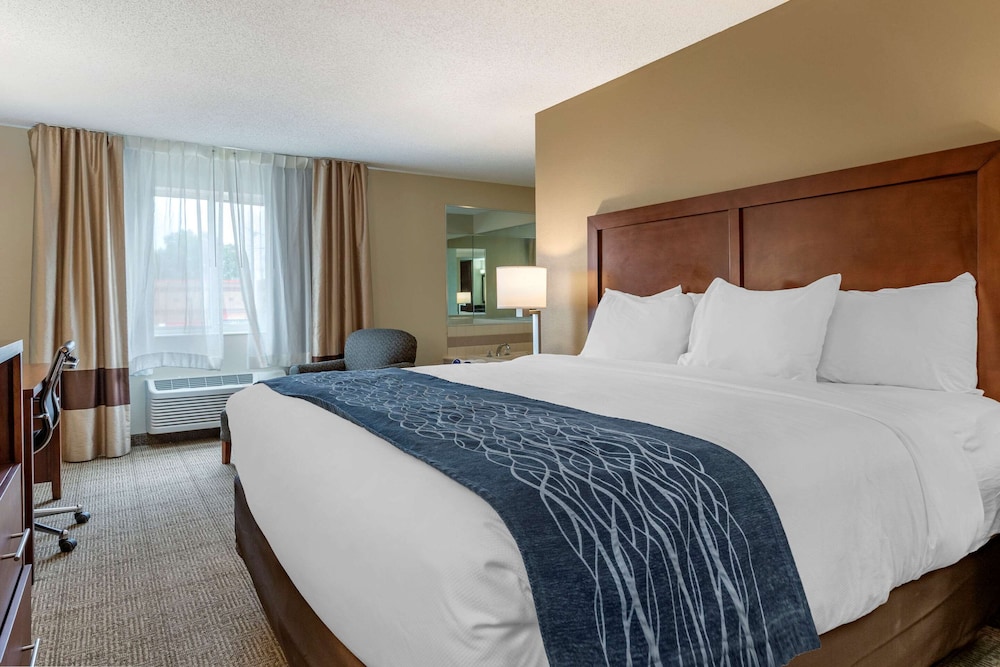 comfort inn and suites dimondale lansing