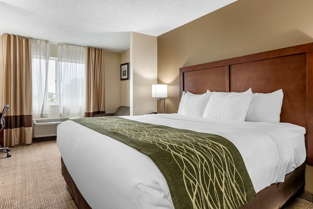 comfort inn and suites dimondale lansing