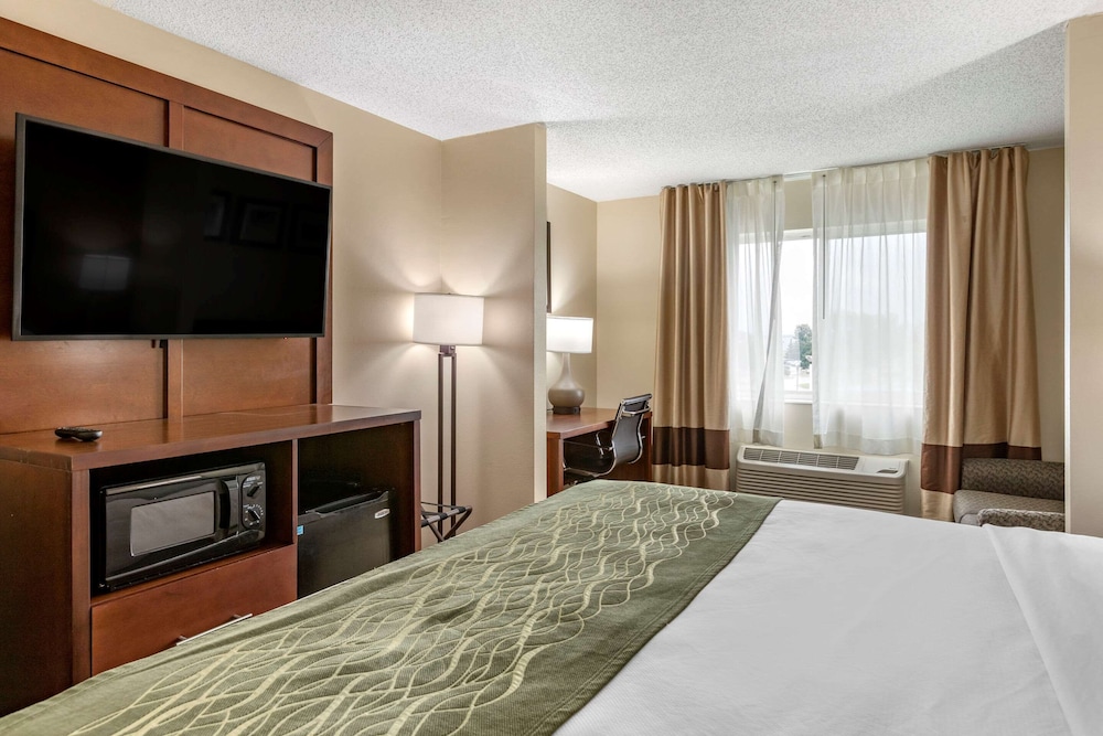 comfort inn and suites dimondale lansing