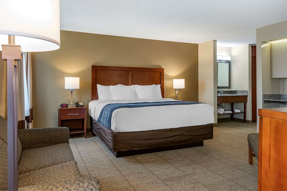 comfort inn and suites dimondale lansing
