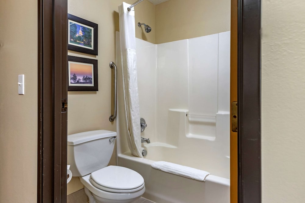 comfort inn and suites dimondale lansing