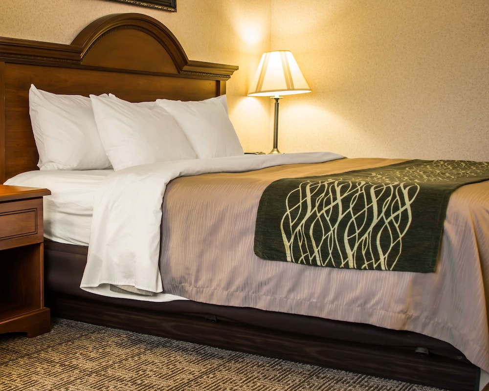 comfort inn and suites dimondale lansing