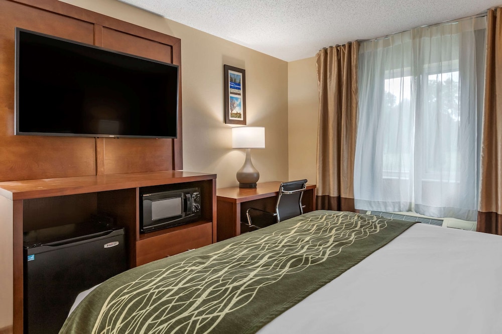 comfort inn and suites dimondale lansing