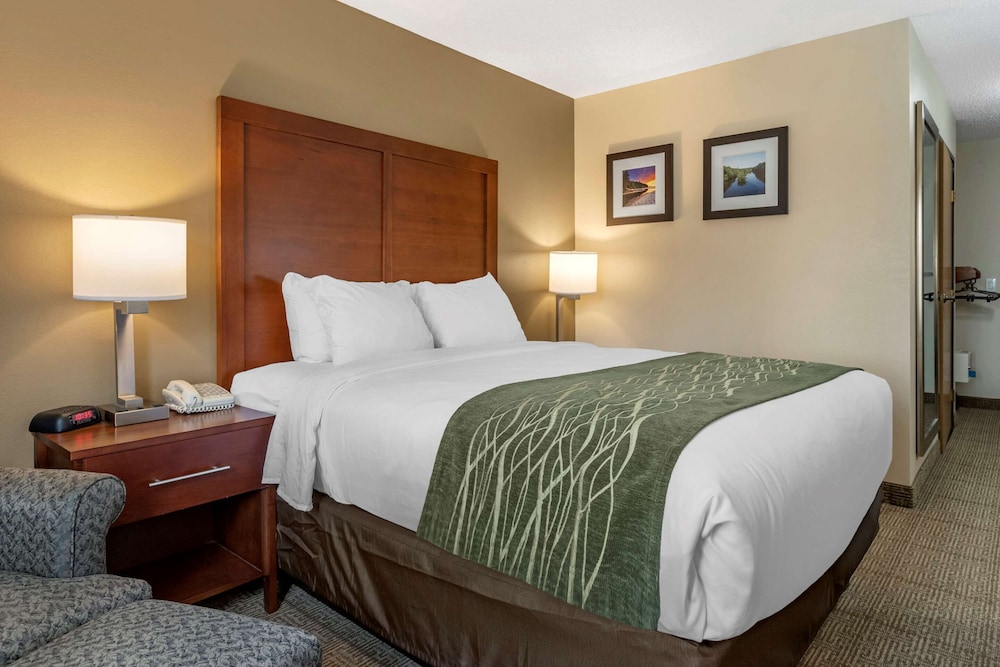 comfort inn and suites dimondale lansing