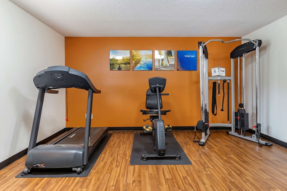 comfort inn and suites dimondale lansing