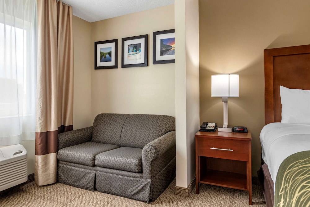 comfort inn and suites dimondale lansing