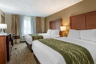 comfort inn and suites dimondale lansing