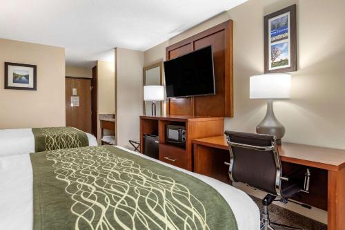 comfort inn and suites dimondale lansing