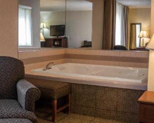 comfort inn and suites dimondale lansing