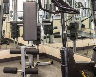 comfort inn and suites dimondale lansing
