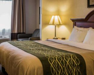comfort inn and suites dimondale lansing