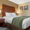 comfort inn and suites dimondale lansing