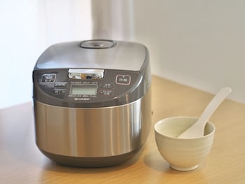 kicon hotels fuchsia