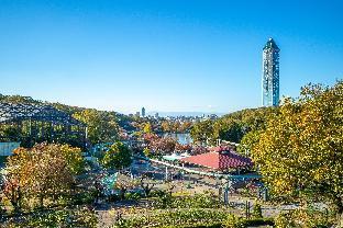 kicon hotels fuchsia