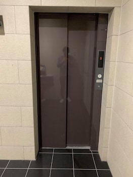 kicon hotels fuchsia