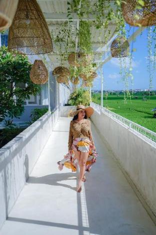 cozy stay bali