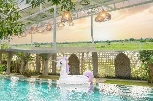 cozy stay bali