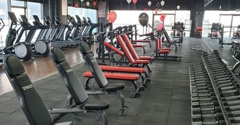 netanya