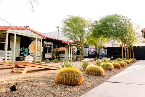 palm springs