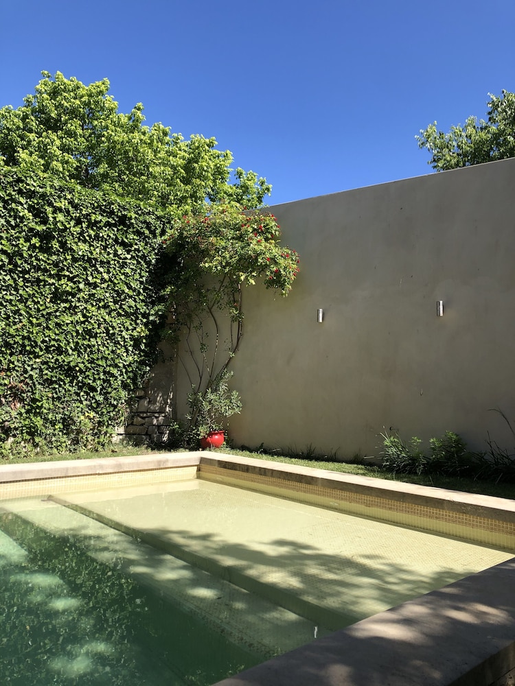 les nuits petillantes