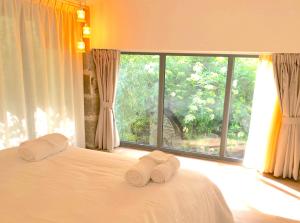 les nuits petillantes