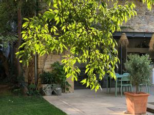 les nuits petillantes