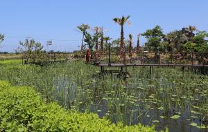 gentle resort