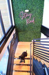 the block hotel and commons