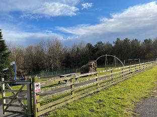 the old colliery stables