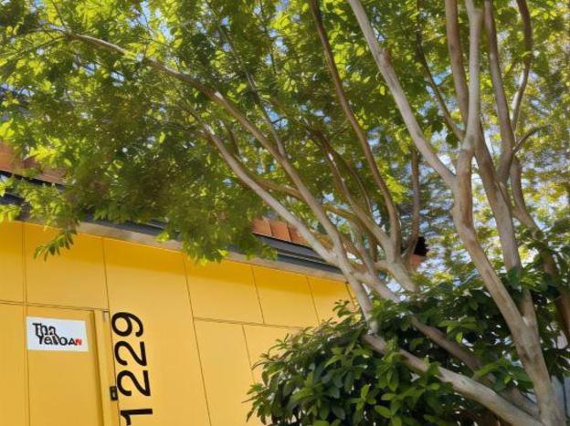 the yellow by dot boutique