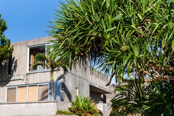 pine house in ginoza